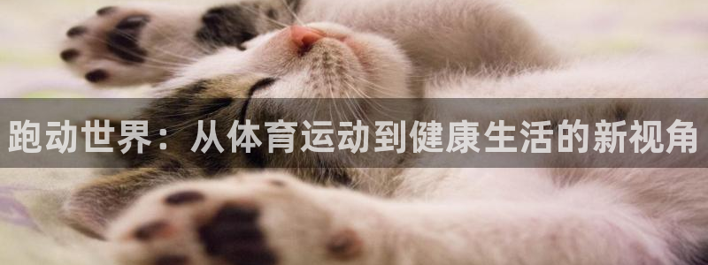 千亿国际官网下载平台假的吗是真的吗吗：跑动世界：从体育运动到