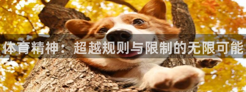 千亿国际官网下载招商电话地址查询：体育精神：超越规则