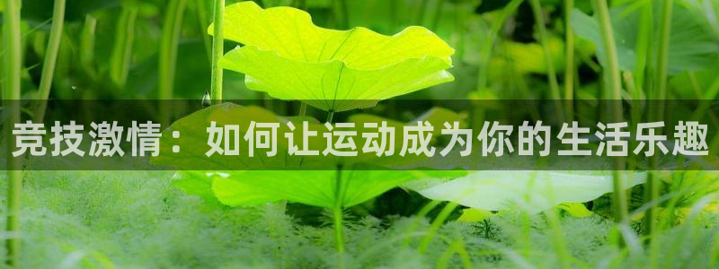 千亿国际官网下载招商电话号码是多少
