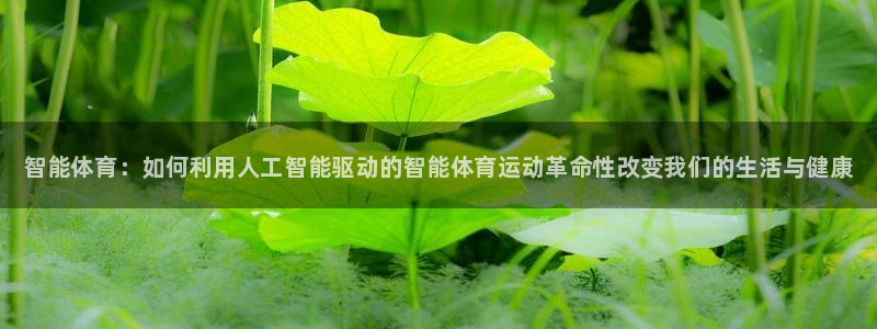 千亿国际官方正版app新能源：智能体育：如何利用人工智能驱动