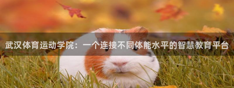 千亿国际官方正版app集团logo：武汉体育运动学院：一个连