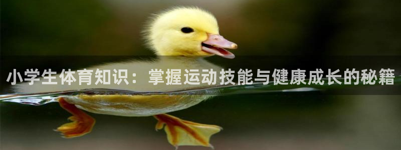 千亿国际官网下载招商电话是多少号码